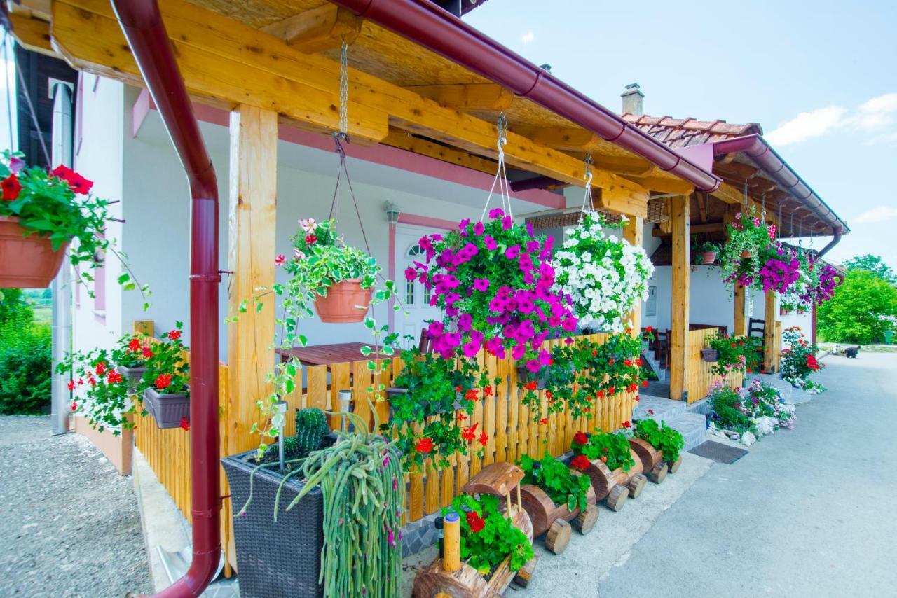 Guesthouse Ella Slunj Ngoại thất bức ảnh